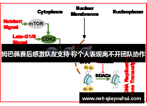 姆巴佩赛后感激队友支持 称个人表现离不开团队协作