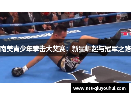 南美青少年拳击大奖赛：新星崛起与冠军之路