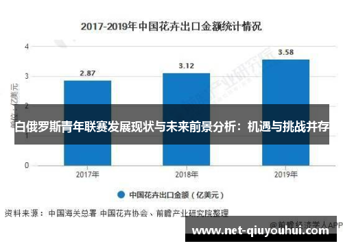 白俄罗斯青年联赛发展现状与未来前景分析：机遇与挑战并存