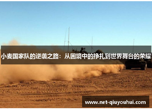 小麦国家队的逆袭之路：从困境中的挣扎到世界舞台的荣耀