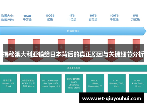 揭秘澳大利亚输给日本背后的真正原因与关键细节分析